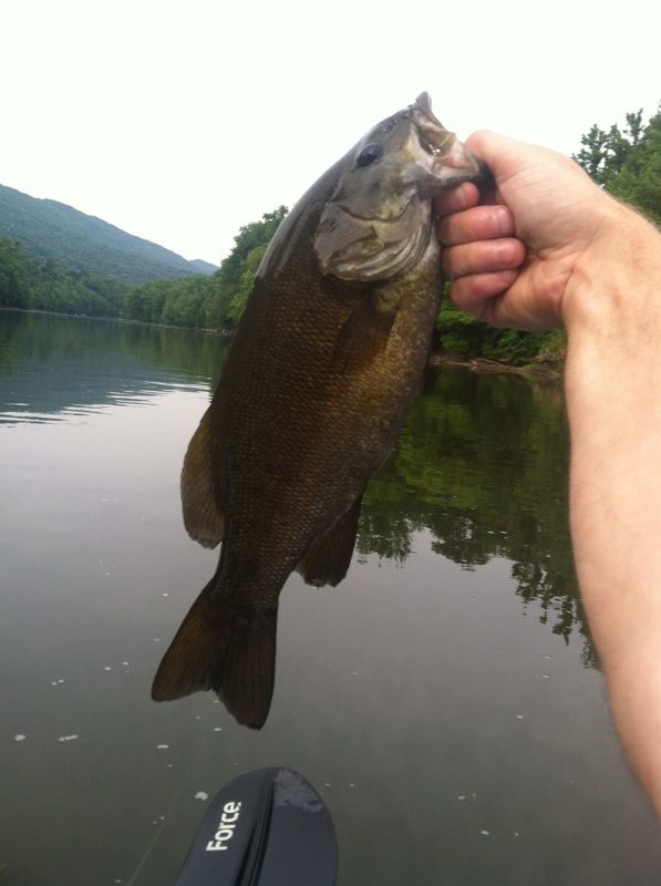 Silver-yellow on the Juniata