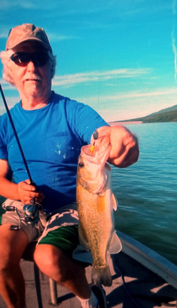 A largemouth bass with the gold blade still showing