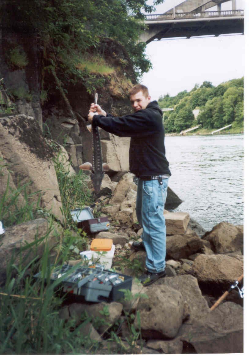 Assorted fish caught on Timberwolf spinners.