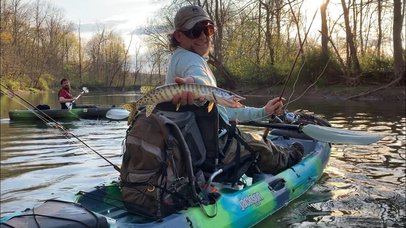 Tiger musky caught in Bald Eagle Creek on a #1 copper Timberwolf