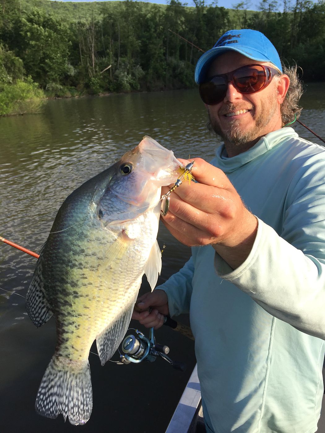 A large white crappie held beside a yellow-dressed Timberwolf spinner, taken from a boat on a tree-lined river.