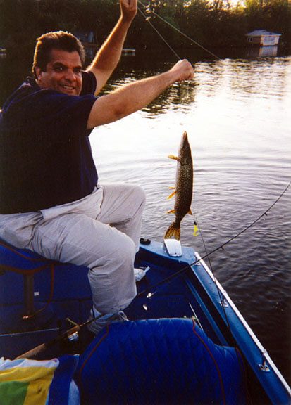A pike or musky caught on a handmade Timberwolf in-line spinner.
