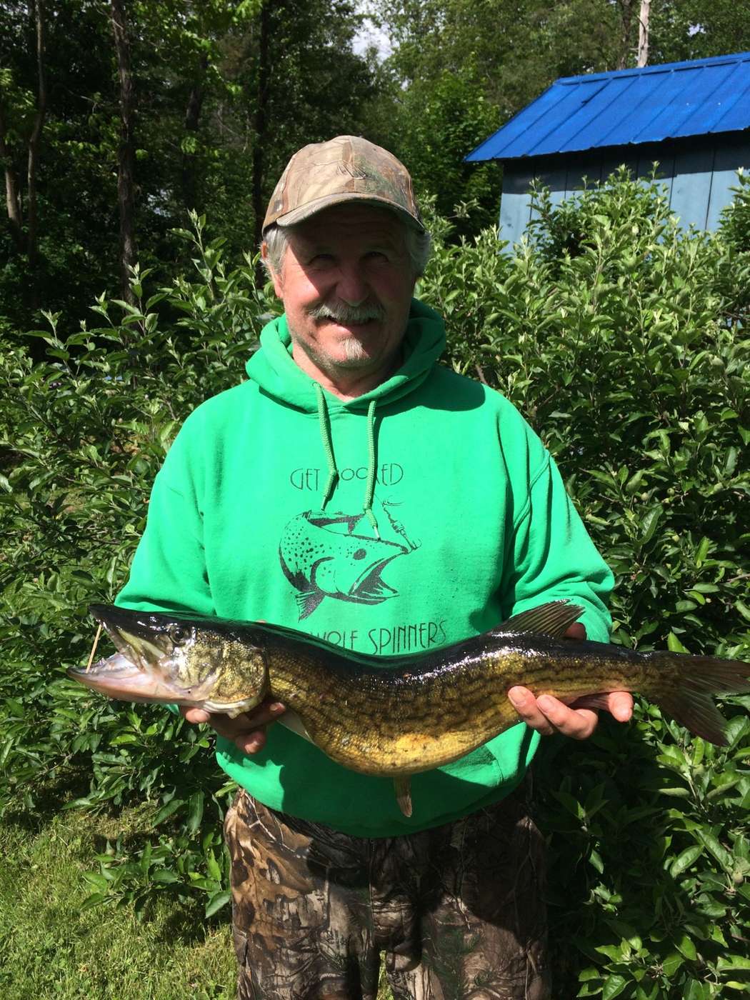 A pike or musky caught on a handmade Timberwolf in-line spinner.