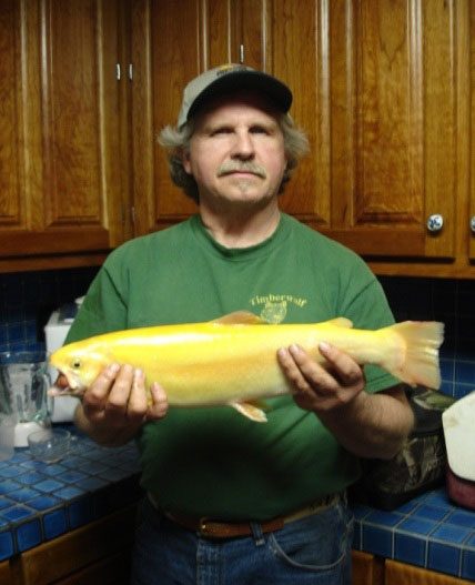 Fred with a 20" palomino