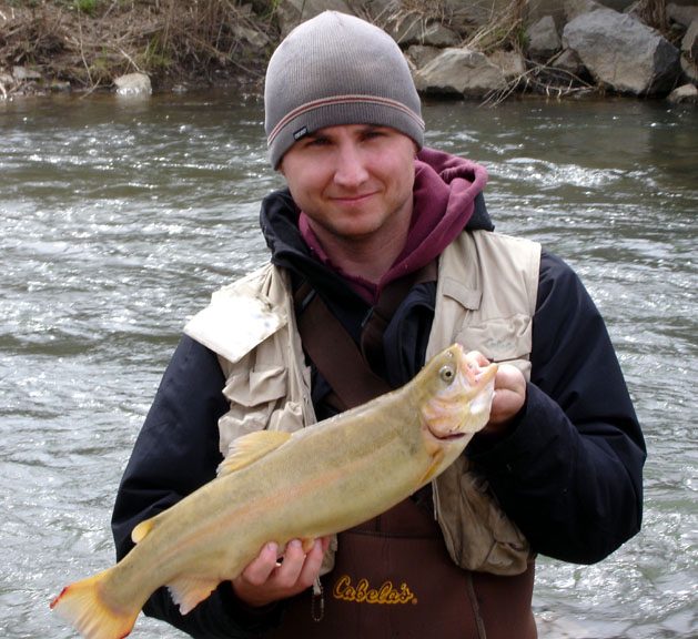 Jake's palomino