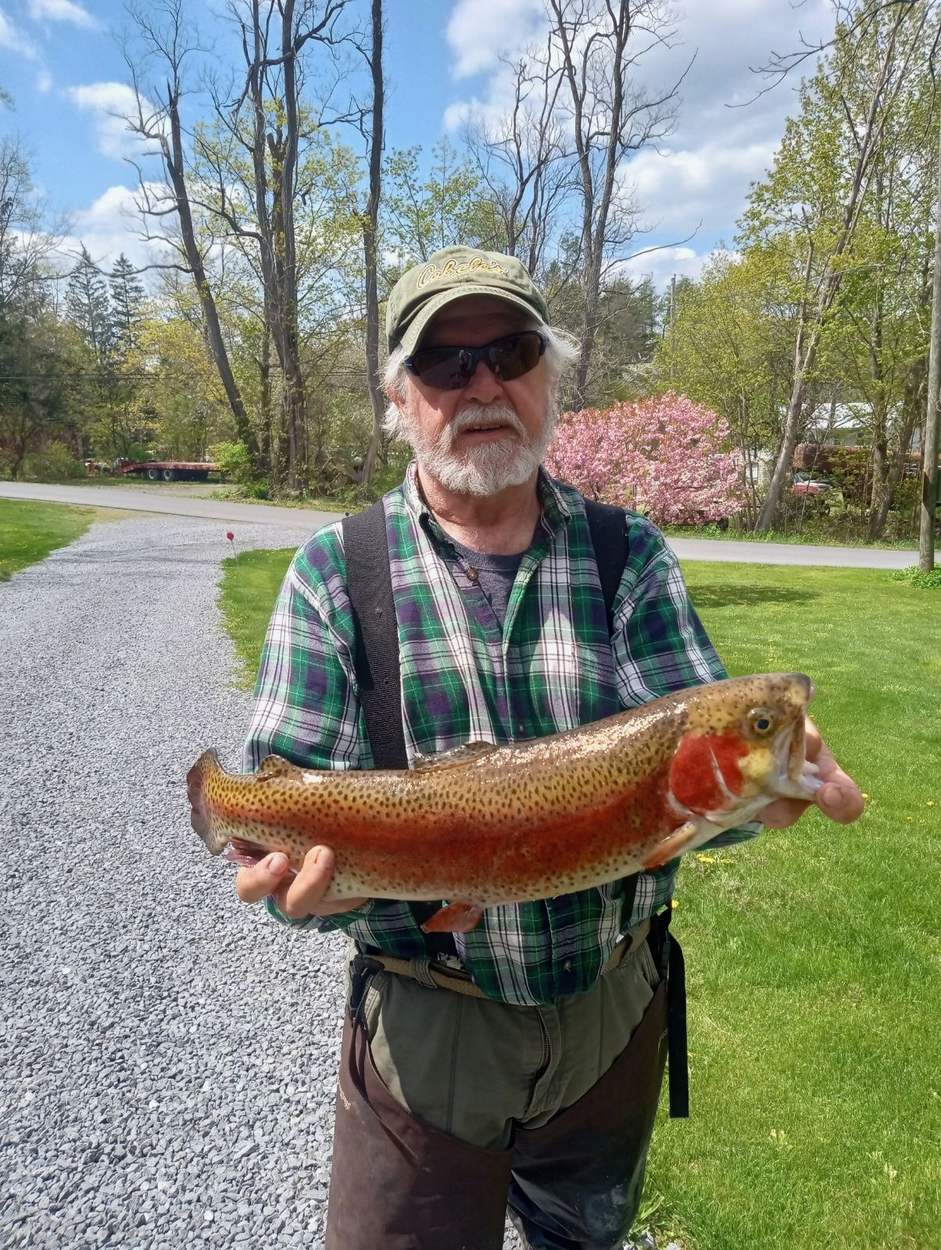 A heavy rainbow trout in full spawning color