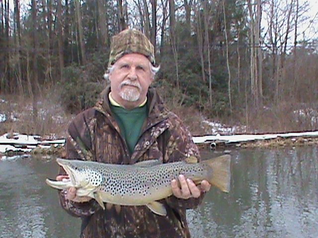 A trout caught on a handmade Timberwolf in-line spinner.