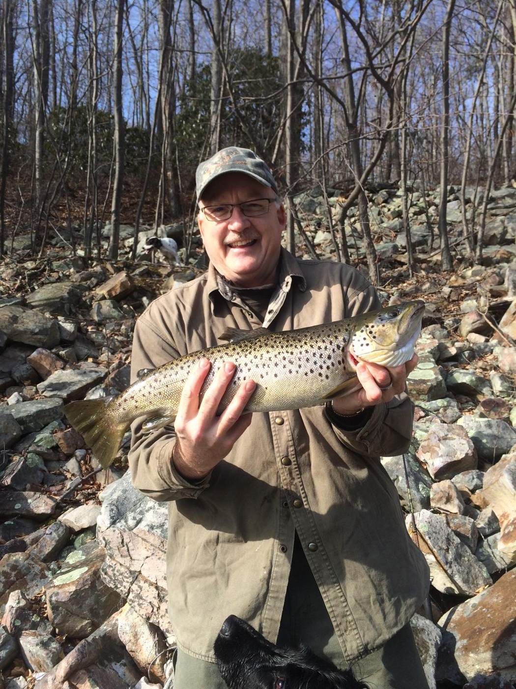 A trout caught on a handmade Timberwolf in-line spinner.