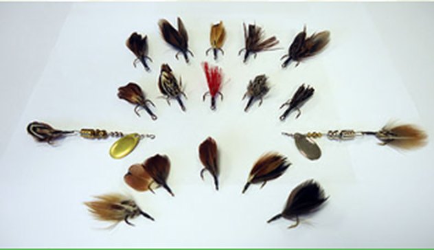 Hand-tied feather tails laid out around two gold-bladed Timberwolf spinners.
